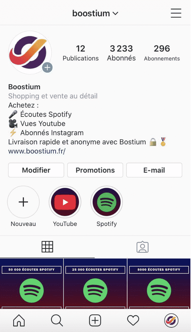 information biographie instagram
